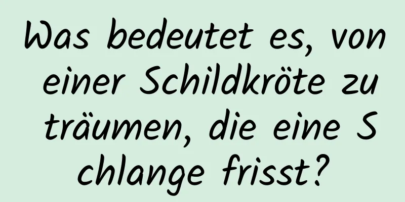 Was bedeutet es, von einer Schildkröte zu träumen, die eine Schlange frisst?