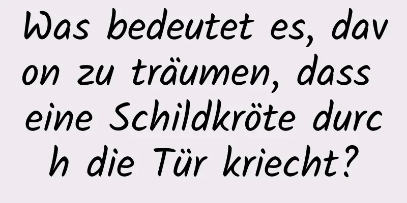 Was bedeutet es, davon zu träumen, dass eine Schildkröte durch die Tür kriecht?