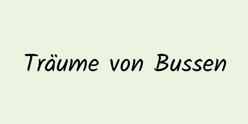 Träume von Bussen