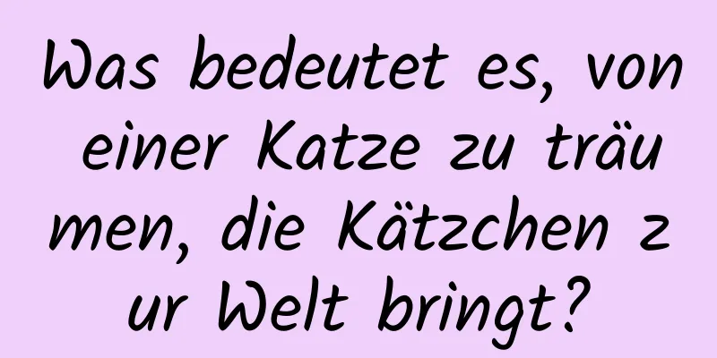 Was bedeutet es, von einer Katze zu träumen, die Kätzchen zur Welt bringt?