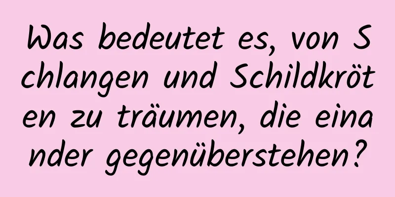 Was bedeutet es, von Schlangen und Schildkröten zu träumen, die einander gegenüberstehen?