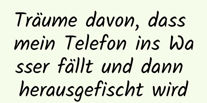 Träume davon, dass mein Telefon ins Wasser fällt und dann herausgefischt wird