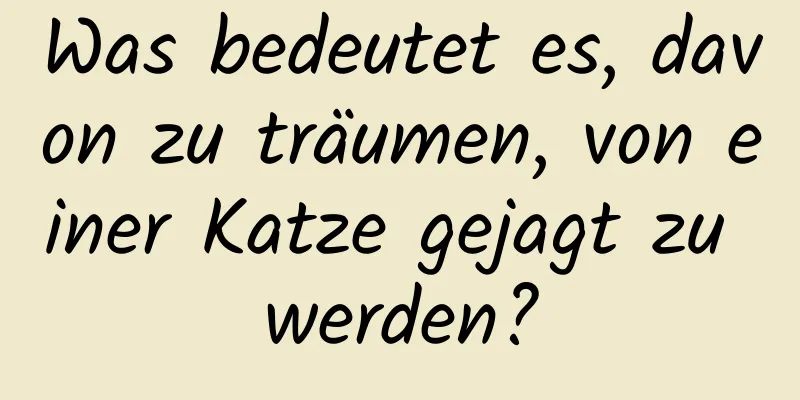 Was bedeutet es, davon zu träumen, von einer Katze gejagt zu werden?