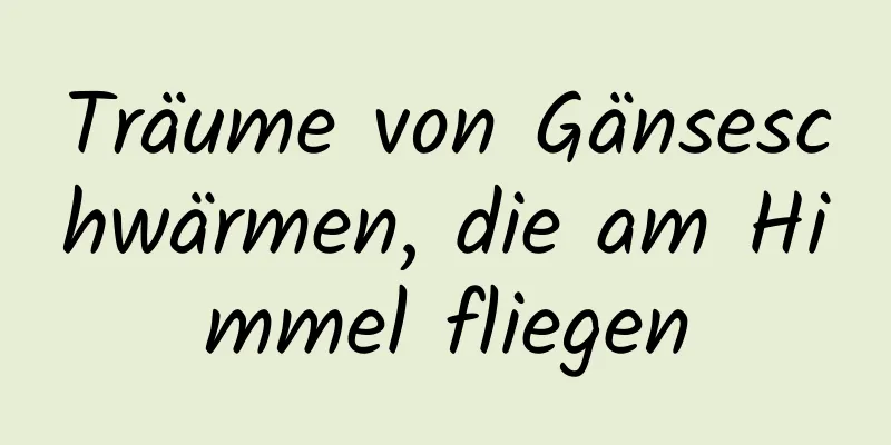 Träume von Gänseschwärmen, die am Himmel fliegen