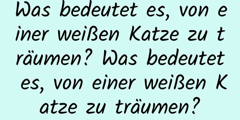 Was bedeutet es, von einer weißen Katze zu träumen? Was bedeutet es, von einer weißen Katze zu träumen?