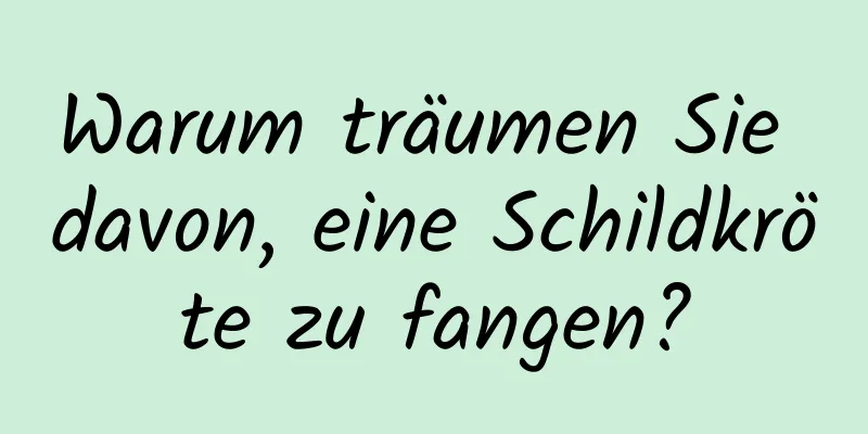 Warum träumen Sie davon, eine Schildkröte zu fangen?