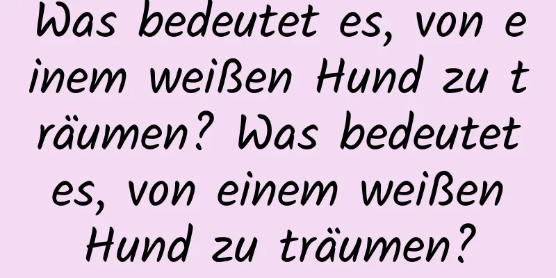 Was bedeutet es, von einem weißen Hund zu träumen? Was bedeutet es, von einem weißen Hund zu träumen?