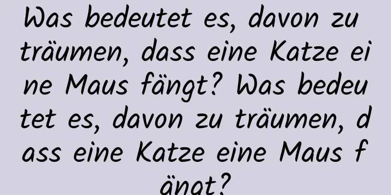 Was bedeutet es, davon zu träumen, dass eine Katze eine Maus fängt? Was bedeutet es, davon zu träumen, dass eine Katze eine Maus fängt?