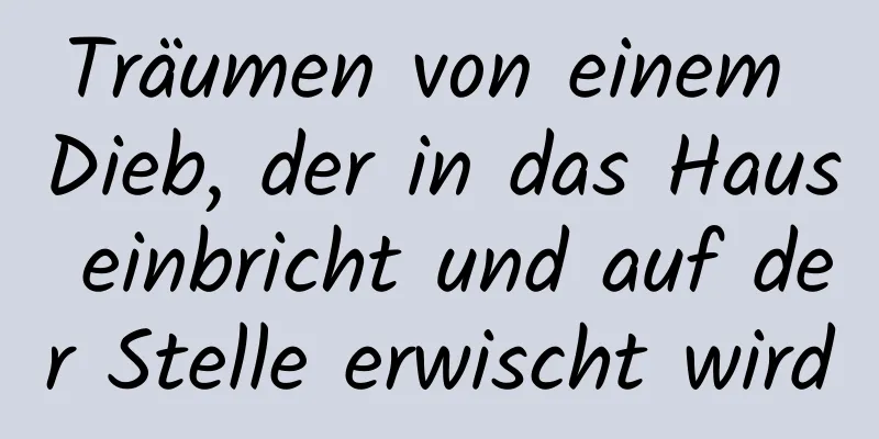 Träumen von einem Dieb, der in das Haus einbricht und auf der Stelle erwischt wird