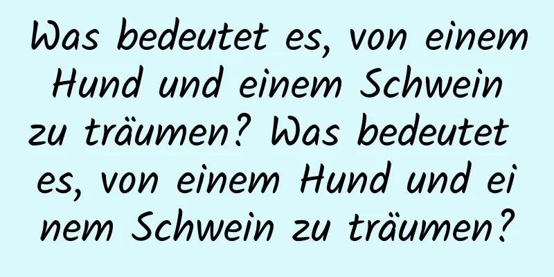 Was bedeutet es, von einem Hund und einem Schwein zu träumen? Was bedeutet es, von einem Hund und einem Schwein zu träumen?