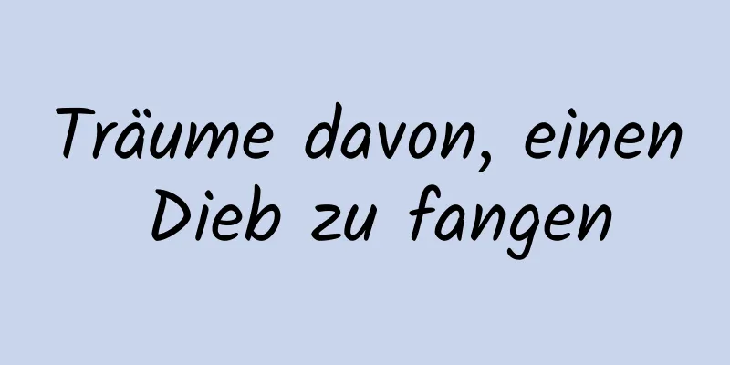 Träume davon, einen Dieb zu fangen