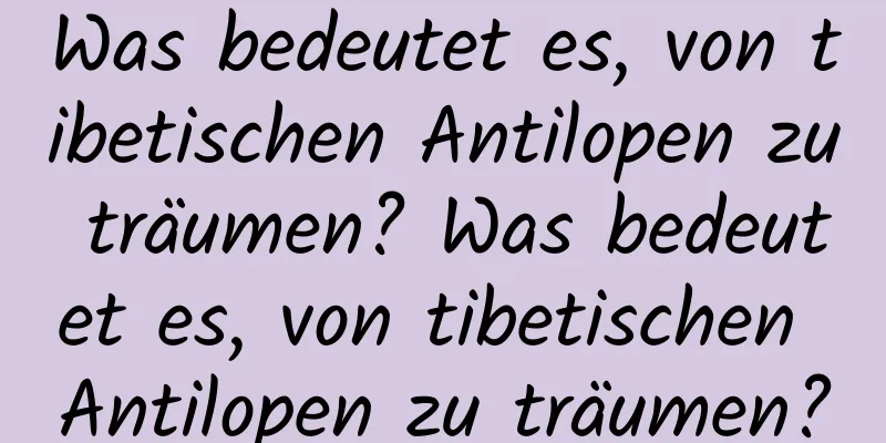 Was bedeutet es, von tibetischen Antilopen zu träumen? Was bedeutet es, von tibetischen Antilopen zu träumen?