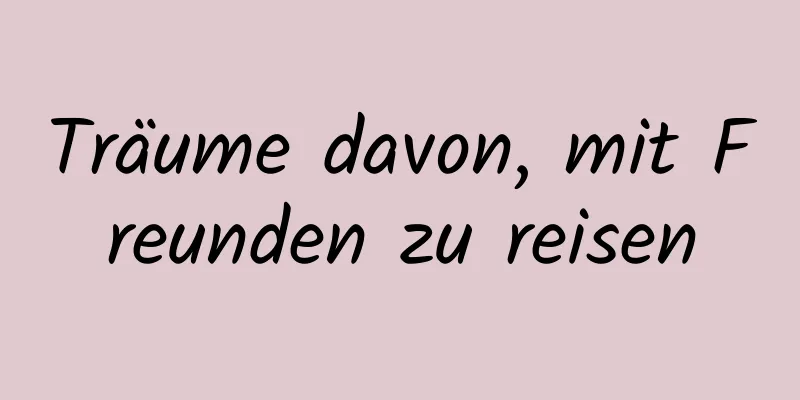 Träume davon, mit Freunden zu reisen