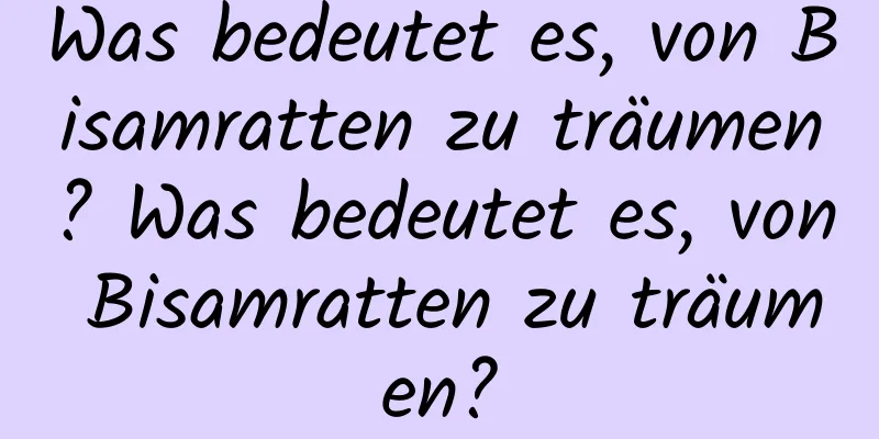 Was bedeutet es, von Bisamratten zu träumen? Was bedeutet es, von Bisamratten zu träumen?