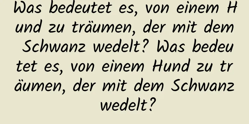 Was bedeutet es, von einem Hund zu träumen, der mit dem Schwanz wedelt? Was bedeutet es, von einem Hund zu träumen, der mit dem Schwanz wedelt?