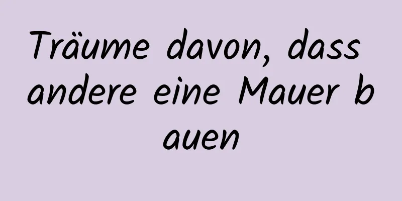 Träume davon, dass andere eine Mauer bauen