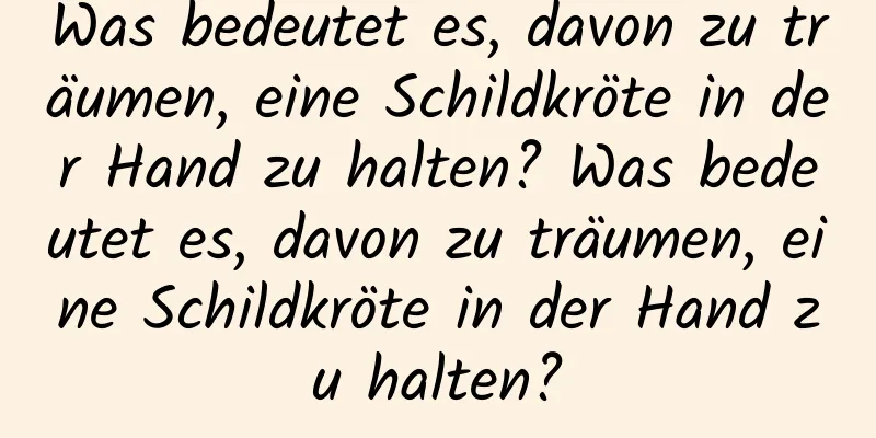 Was bedeutet es, davon zu träumen, eine Schildkröte in der Hand zu halten? Was bedeutet es, davon zu träumen, eine Schildkröte in der Hand zu halten?