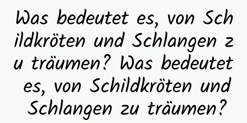 Was bedeutet es, von Schildkröten und Schlangen zu träumen? Was bedeutet es, von Schildkröten und Schlangen zu träumen?