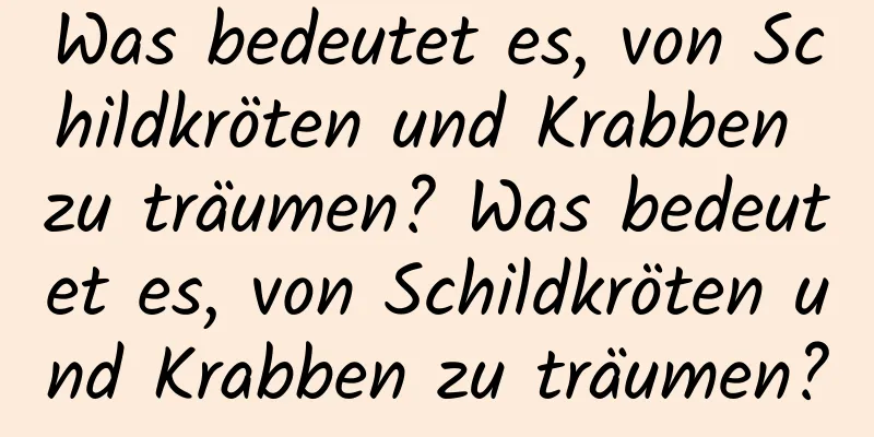 Was bedeutet es, von Schildkröten und Krabben zu träumen? Was bedeutet es, von Schildkröten und Krabben zu träumen?