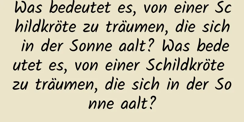 Was bedeutet es, von einer Schildkröte zu träumen, die sich in der Sonne aalt? Was bedeutet es, von einer Schildkröte zu träumen, die sich in der Sonne aalt?