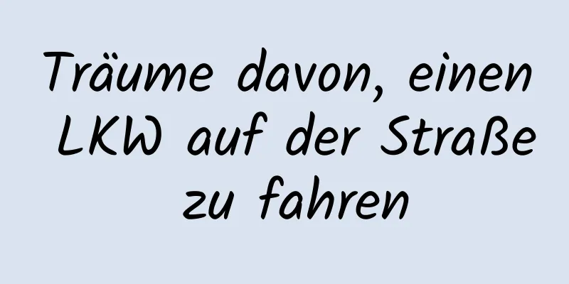 Träume davon, einen LKW auf der Straße zu fahren