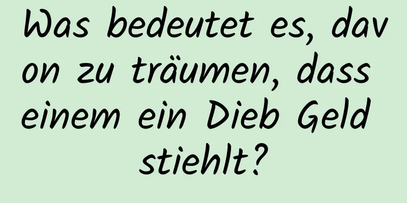 Was bedeutet es, davon zu träumen, dass einem ein Dieb Geld stiehlt?