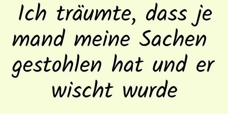 Ich träumte, dass jemand meine Sachen gestohlen hat und erwischt wurde