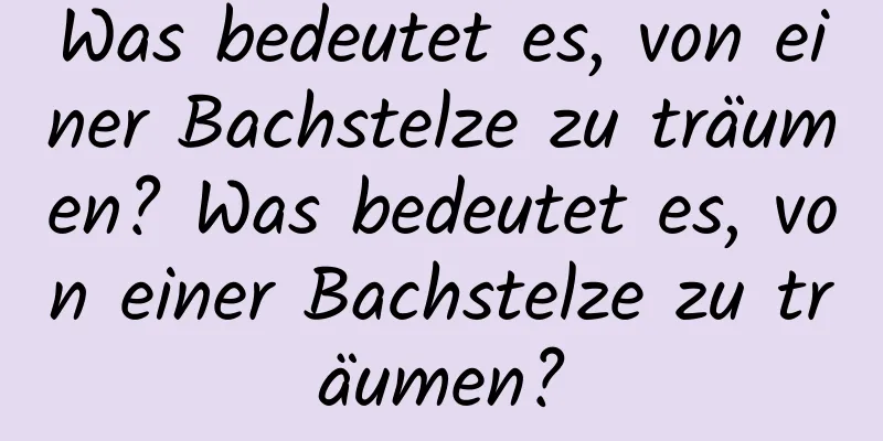 Was bedeutet es, von einer Bachstelze zu träumen? Was bedeutet es, von einer Bachstelze zu träumen?