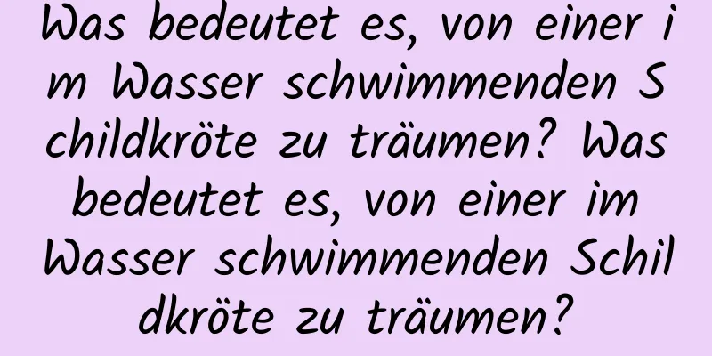 Was bedeutet es, von einer im Wasser schwimmenden Schildkröte zu träumen? Was bedeutet es, von einer im Wasser schwimmenden Schildkröte zu träumen?