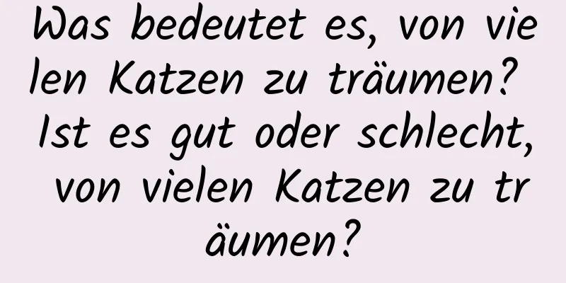 Was bedeutet es, von vielen Katzen zu träumen? Ist es gut oder schlecht, von vielen Katzen zu träumen?