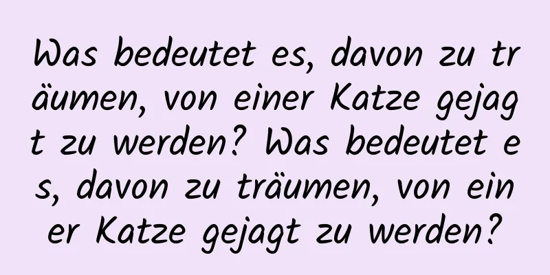 Was bedeutet es, davon zu träumen, von einer Katze gejagt zu werden? Was bedeutet es, davon zu träumen, von einer Katze gejagt zu werden?