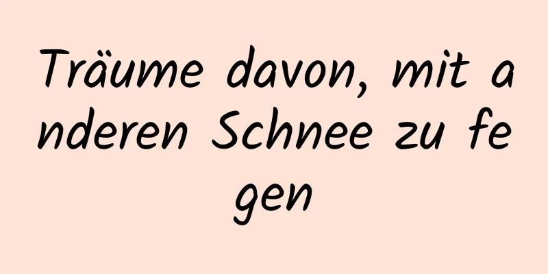 Träume davon, mit anderen Schnee zu fegen