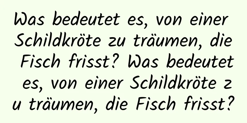 Was bedeutet es, von einer Schildkröte zu träumen, die Fisch frisst? Was bedeutet es, von einer Schildkröte zu träumen, die Fisch frisst?