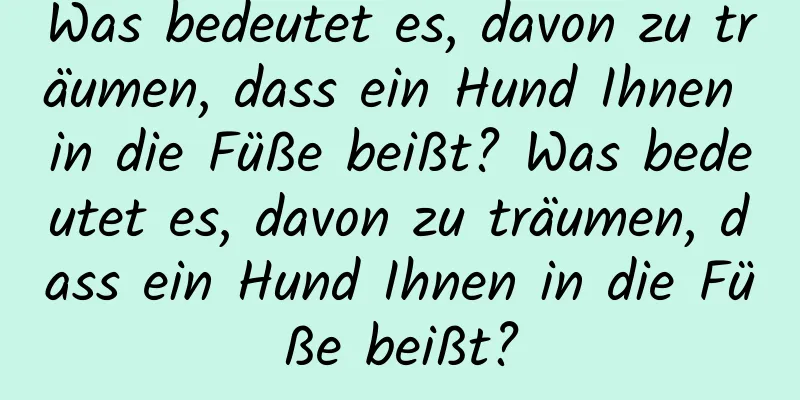 Was bedeutet es, davon zu träumen, dass ein Hund Ihnen in die Füße beißt? Was bedeutet es, davon zu träumen, dass ein Hund Ihnen in die Füße beißt?