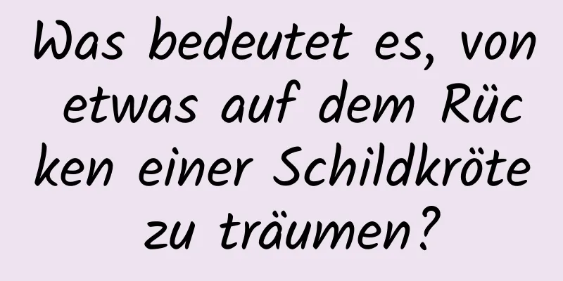 Was bedeutet es, von etwas auf dem Rücken einer Schildkröte zu träumen?