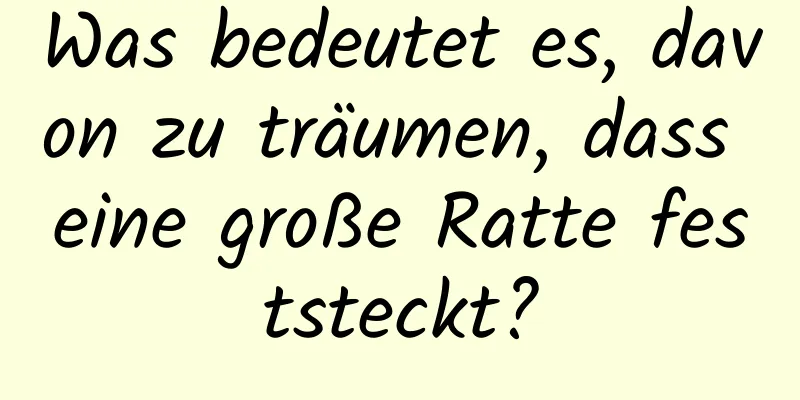 Was bedeutet es, davon zu träumen, dass eine große Ratte feststeckt?