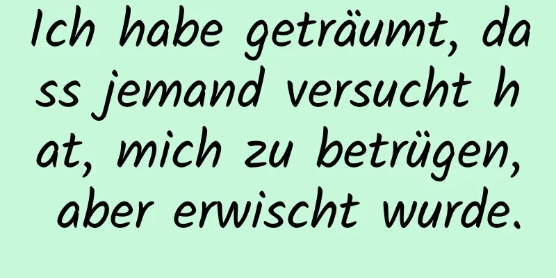 Ich habe geträumt, dass jemand versucht hat, mich zu betrügen, aber erwischt wurde.