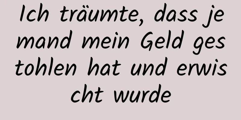 Ich träumte, dass jemand mein Geld gestohlen hat und erwischt wurde