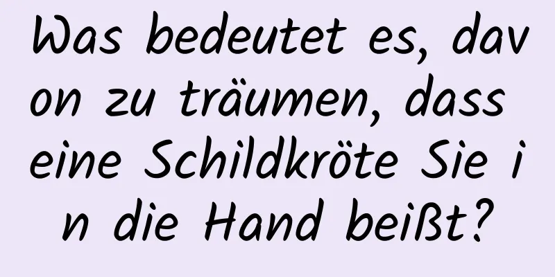 Was bedeutet es, davon zu träumen, dass eine Schildkröte Sie in die Hand beißt?