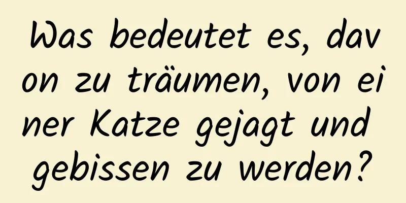 Was bedeutet es, davon zu träumen, von einer Katze gejagt und gebissen zu werden?