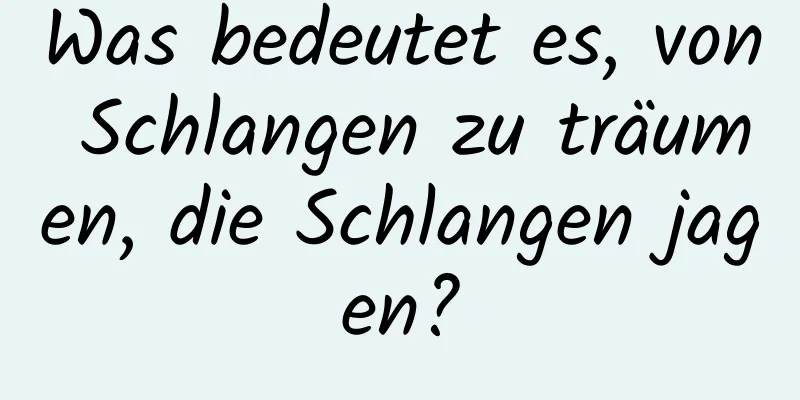 Was bedeutet es, von Schlangen zu träumen, die Schlangen jagen?