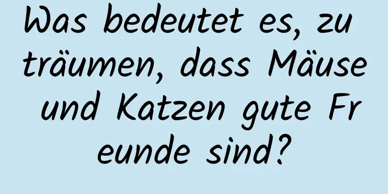 Was bedeutet es, zu träumen, dass Mäuse und Katzen gute Freunde sind?