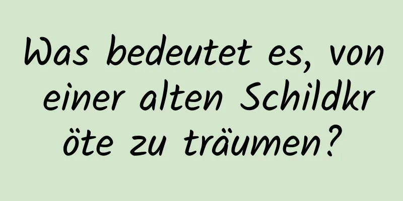 Was bedeutet es, von einer alten Schildkröte zu träumen?