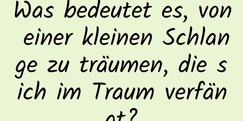 Was bedeutet es, von einer kleinen Schlange zu träumen, die sich im Traum verfängt?