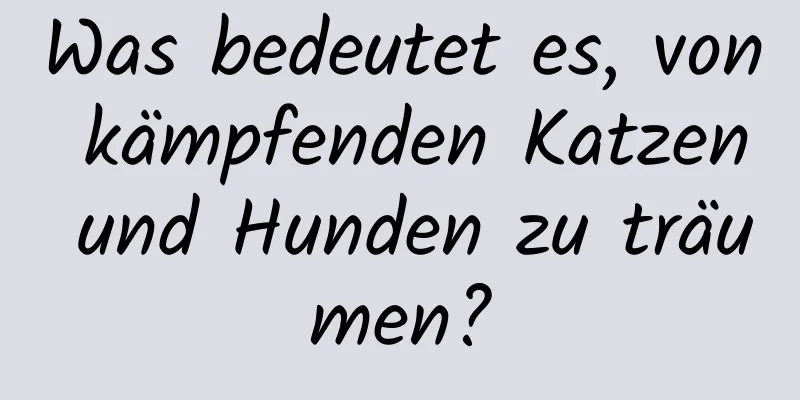 Was bedeutet es, von kämpfenden Katzen und Hunden zu träumen?