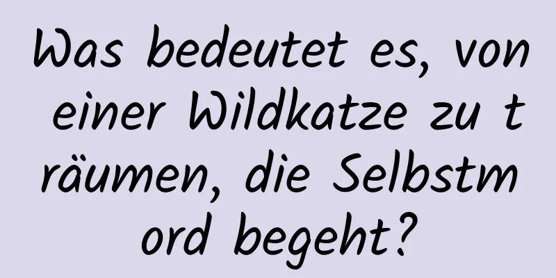 Was bedeutet es, von einer Wildkatze zu träumen, die Selbstmord begeht?