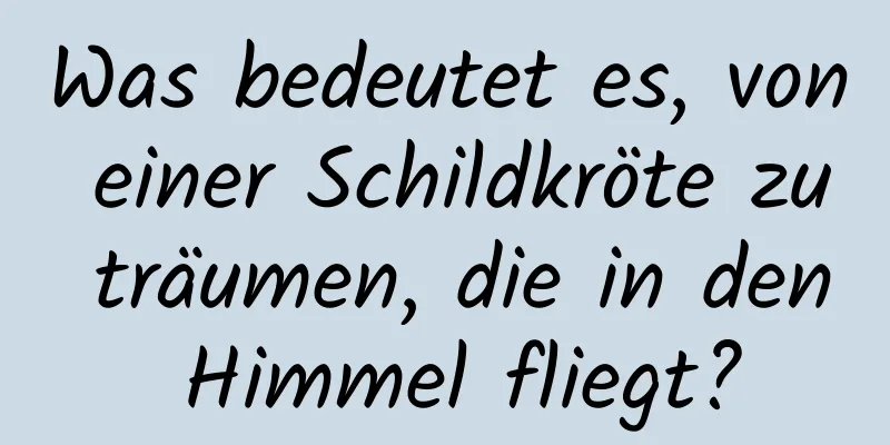 Was bedeutet es, von einer Schildkröte zu träumen, die in den Himmel fliegt?