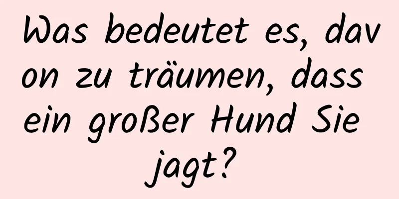 Was bedeutet es, davon zu träumen, dass ein großer Hund Sie jagt?