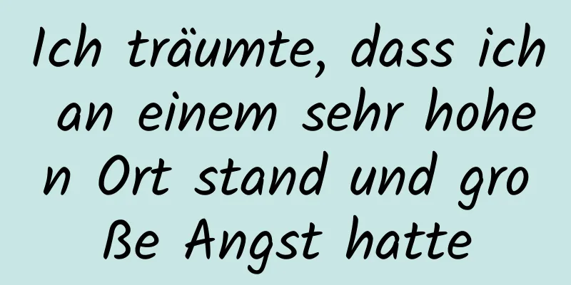 Ich träumte, dass ich an einem sehr hohen Ort stand und große Angst hatte