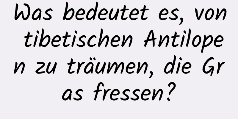 Was bedeutet es, von tibetischen Antilopen zu träumen, die Gras fressen?